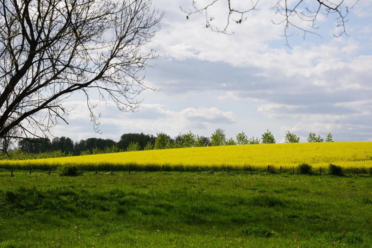 La Grange De Felicie Bed & Breakfast Charrey-sur-Saone Екстериор снимка